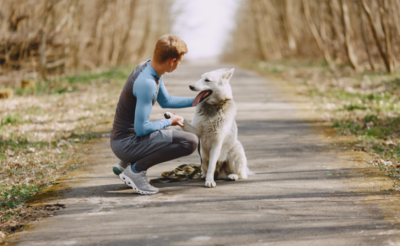 anti-douleur, anti-stress animaux